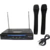 Επαγγελματική Συσκευή Karaoke VHF Με Δύο Ασύρματα Μικρόφωνα DIGITAL WVNGR WG-006