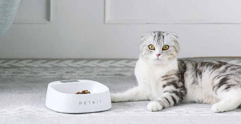 Έξυπνο Μπωλ Ψηφιακός Τροφοδότης για Κατοικίδια- Petkit Smart Antibacterial Bowl