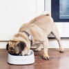 Έξυπνο Μπωλ Ψηφιακός Τροφοδότης για Κατοικίδια- Petkit Smart Antibacterial Bowl