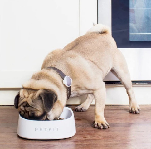 Έξυπνο Μπωλ Ψηφιακός Τροφοδότης για Κατοικίδια- Petkit Smart Antibacterial Bowl